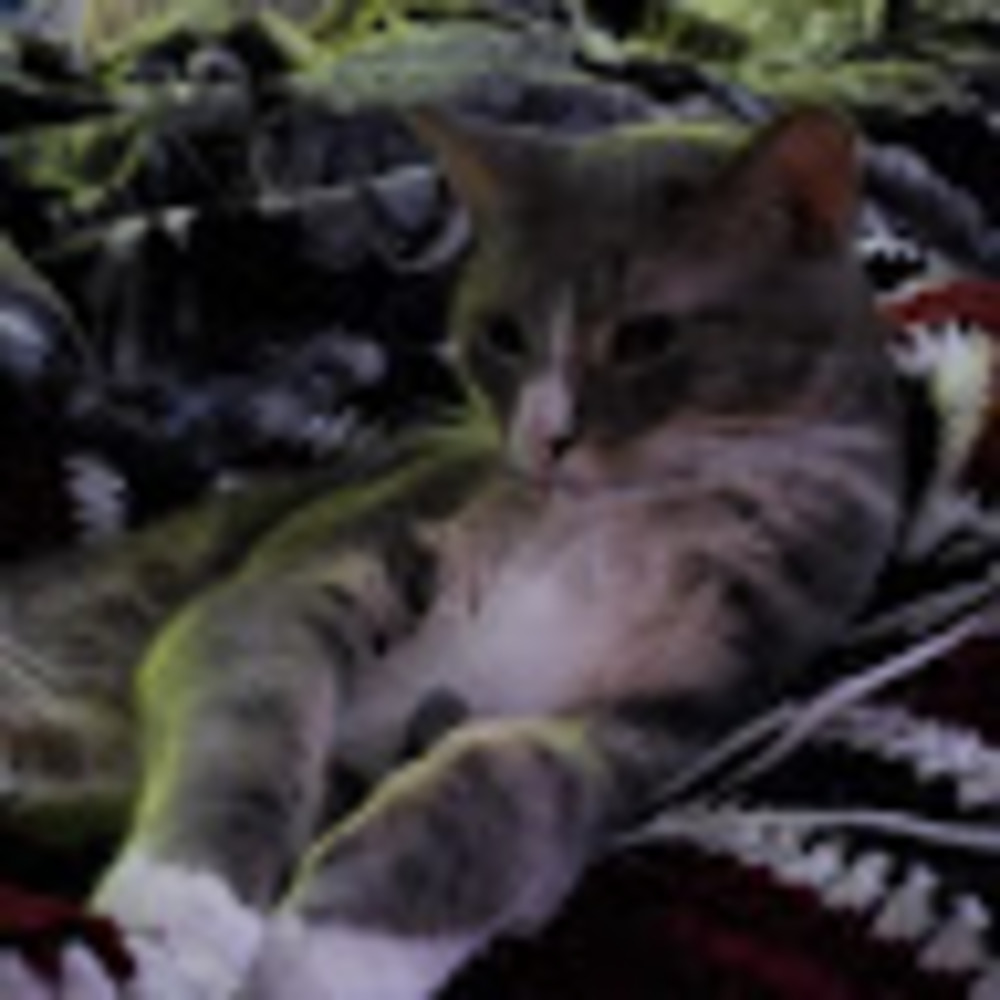 Meet your Posher, Kristal